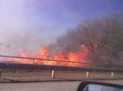 В Волгодонском районе горит сухостой, пожарные не могут подобраться к огню 
