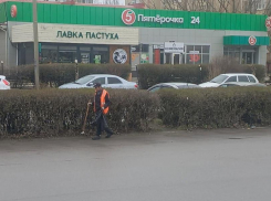 Дебоширы и хулиганы будут убирать мусор и сажать деревья в Волгодонске