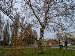 Сегодняшний день будет пасмурным