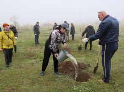 Создание сквера на Сухо-Соленовском заливе попытаются перенести на следующий год 