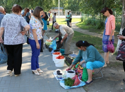 Стихийную торговлю гонят прочь с улиц Волгодонска 