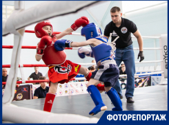 «Лучшие из лучших»: чемпионат и первенство региона по тайскому боксу состоялся в Волгодонске 