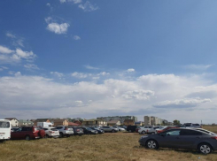 Уже завтра в Волгодонске откроется трехдневная ярмарка «Дары осени»