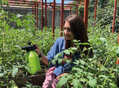 Важно! Фунгициды в помощь садоводу и огороднику