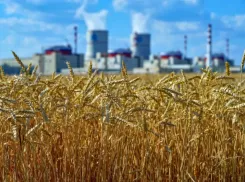 Ростовскую АЭС вновь признали экологически образцовой