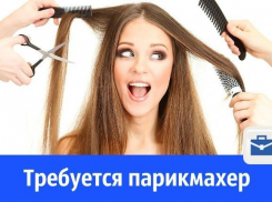 Работу парикмахером предлагают волгодонцам
