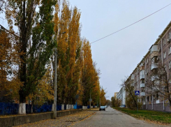 Зима с осенними нотками и очень высоким давлением: о погоде в Волгодонске в среду