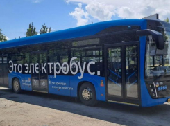 Ростовстат представил статистику к Дню работника автомобильного и городского пассажирского транспорта