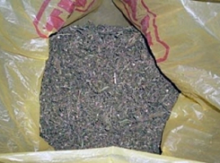 В международный день борьбы с наркотиками в Волгодонске задержали двоих наркодилеров