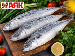 Товар дня: скумбрия свежемороженая  за 199,90 ₽/кг