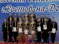 Грация и красота: гимнастки Волгодонска завоевали серебро и бронзу Чемпионата области