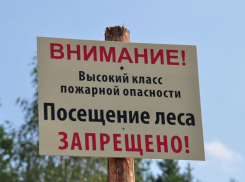 Волгодонцам до конца лета запрещено ходить в лес