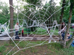 В сквере Дружбы появилась гигантская паутина