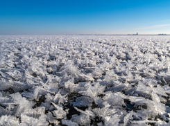 На Цимлянском водохранилище распустились миллионы ледяных цветов 