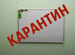 На карантин закрыли шесть классов в трех школах Волгодонска 