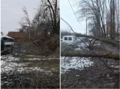 Парк в Старосоленовской и аллея деревьев на Гагарина уничтожены стихией 