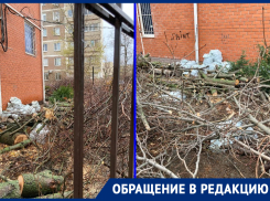 «Где штрафы предпринимателям?»: волгодонцы возмущены массовой рубкой деревьев в центре города