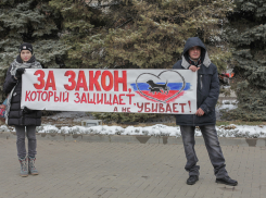 «Администрация города - услышьте нас!» - зоозащитники прошествовали по центральной улице Волгодонска и записали обращение к Путину