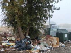 В Волгодонске запланирован второй этап благоустройства проспекта Лазоревого до конца года