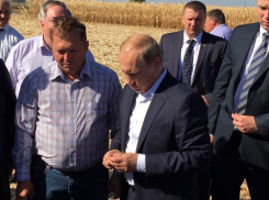 Фермеры пожаловались Путину на обмелевшее Цимлянское водохранилище