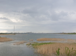 Уровень Цимлянского водохранилища побил рекорд десятилетия 