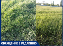 «Стадион зарос травой»: жители старого города о состоянии футбольного поля