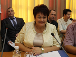 Доходы Людмилы Ткаченко за год почти не изменились