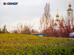 Легальный заработок для школьников предложили в администрации Волгодонска 