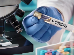 Новые случаи инфицирования Covid-19 выявлены в Волгодонском и Мартыновском районах