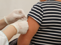 Волгодонцев приглашают на вакцинацию против гриппа 