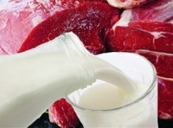 На рынках Волгодонска нашли почти полтонны больного мяса и молока