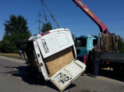 Медведь Винни не пострадал в ДТП с перевернувшейся «Газелью» в Волгодонске, - руководство цирка из Санкт-Петербурга  