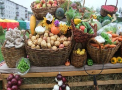 Производителей Волгодонска и близлежащих районов пригласили представить свои товары на ярмарке 