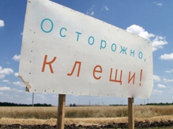 Трое мужчин с подозрением на геморрагическую лихорадку госпитализировали в Волгодонске