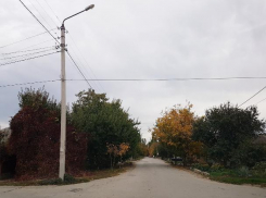 До +19 градусов прогреется воздух в понедельник