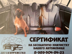 Какие подарки получат победители фотоконкурса «Летнее настроение»
