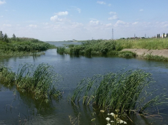 Цимлянское водохранилище отступило на 6 сантиметров