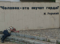Пьяный житель Волгодонска проиллюстрировал классическое произведение Максима Горького «На дне»