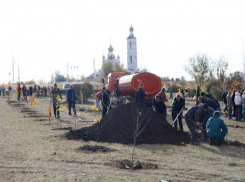 Сотни волгодонцев провели массовую посадку деревьев