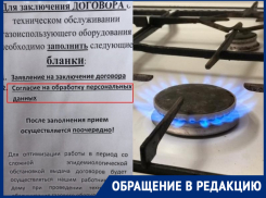 «Зачем передавать данные за рубеж?»: абонентка «Газпрома» не стала заключать договор на обслуживание газового оборудования
