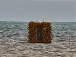 Странные шалаши и сторожевые башни на воде были обнаружены при понижении уровня Цимлянского водохранилища в Волгодонске