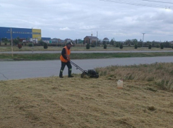 В Волгодонске косят траву, но трава не сдаётся