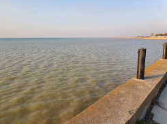 К Цимлянскому водохранилищу подошла первая волна половодья 