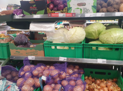 Сколько средний волгодонец тратит на продукты питания 