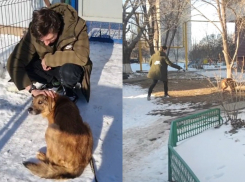 В детстве их разлучили родители: спустя пять лет волгодонец приехал в приют за своей собакой