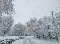 В последний четверг января волгодонцев ждет небольшой мороз 