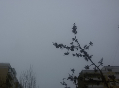 Сумрачной и теплой будет погода в Волгодонске