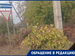 «С каждым разом их становится больше»: неубранные деревья на Горького угрожают безопасности водителей в Волгодонске