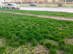 Штиль и температура воздуха до +28 ожидает Волгодонска в середине недели 