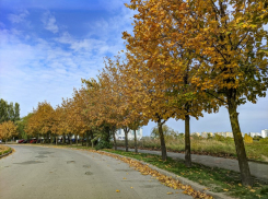 Малооблачно и сильный ветер: о погоде в Волгодонске